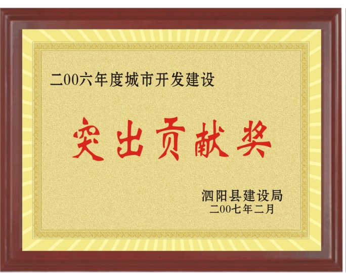 2007特别贡献奖